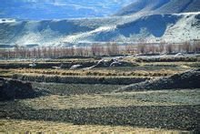 雅鲁藏布江黑颈鹤自然保护区