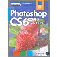 Photoshop CS6中文版从新手到高手