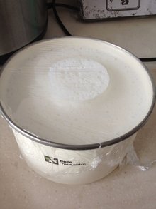 电高压锅做酸奶