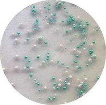 金氏菌属_360百科