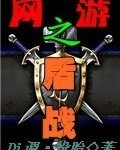 网游之盾战