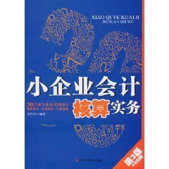 小企业会计核算实务:30天成为账务处理高手