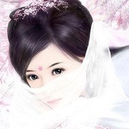 极品王爷的小萌妃