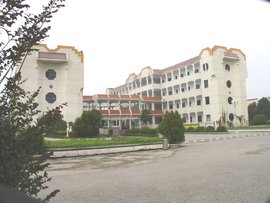 阳逻第一初级中学