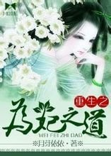 重生之为妃之道