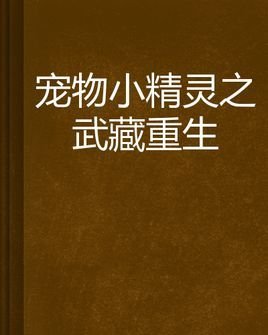 宠物小精灵之武藏重生