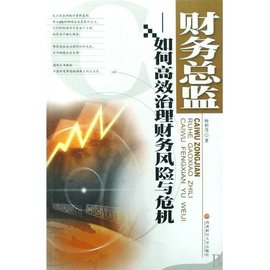 财务总监:高效治理财务风险与危机