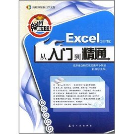 Excel:从入门到精通