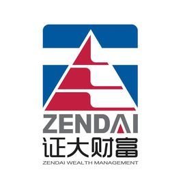 上海证大投资咨询有限公司