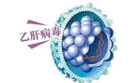 乙肝病毒DNA检测