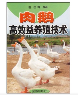 肉鹅高效益养殖技术