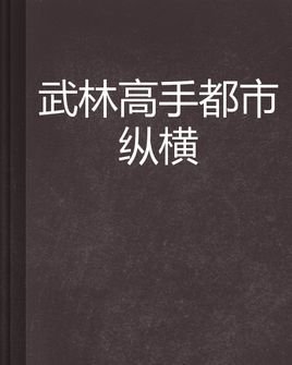 武林高手都市纵横