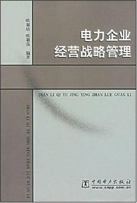 电力企业战略管理