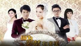 因为爱情有多美第二季