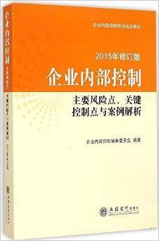 企业内部控制:主要风险点关键点控制点与案例