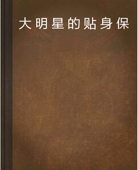 大明星的贴身保镖