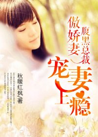 腹黑总裁傲娇妻:宠妻上瘾_360百科