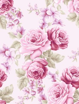 皇上,请您雨露均沾