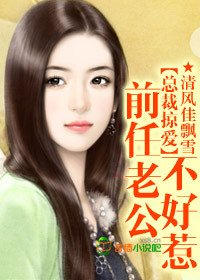 总裁掠爱:前任老公不好惹