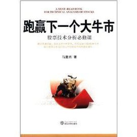 跑羸下一个大牛市:股票技术分析必修课