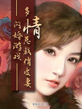 闪婚游戏:多情总裁俏皮妻