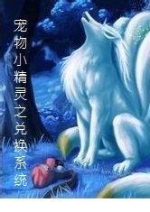 宠物小精灵之兑换系统