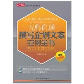 无师自通撰写企划文案范例全书