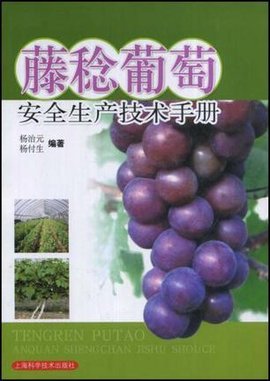 藤稔葡萄安全生产技术手册