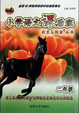 新黑马阅读丛书:小学语文课后班