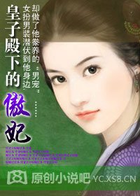 异域穿越:皇子殿下的傲妃