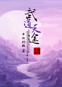 少年智勇双全敢斗天:武道天途