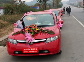 岳阳市诚信婚庆车队
