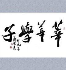 形容照片的形容词,四个字.潇洒飘逸的书法,栩栩