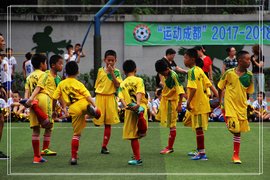 2017-2018成都市青少年足球联赛T甲联赛