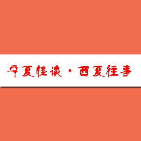 宁夏怪谈·西夏往事