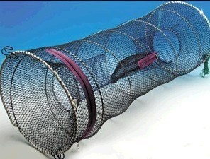 用什么方法可以快速捉到河鱼、河虾?_360问答