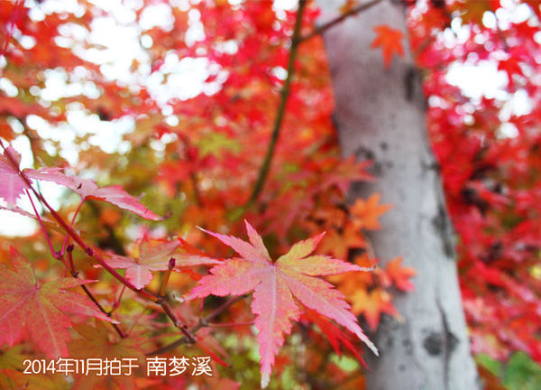 陕西秦岭有哪些好玩的景区_360问答