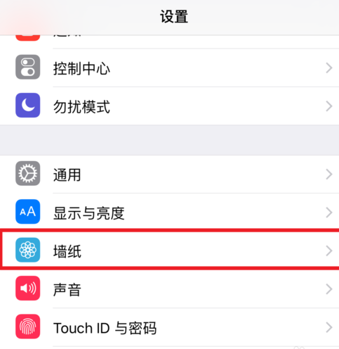 live photo设置成壁纸怎样才能有声音 - 路路去网