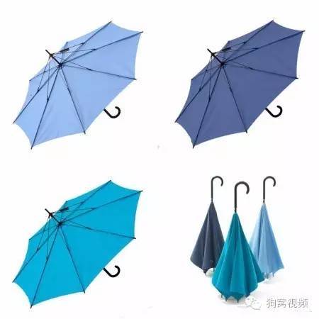 伞把的拼音是什么 t0163b19505cb90d59e.jpg?size=450x450