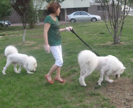 物业为约束居民文明饲养 对饲养宠物业主停水电_360问答