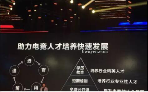 2019电竞行业人才报告必威体育发展平衡是关键