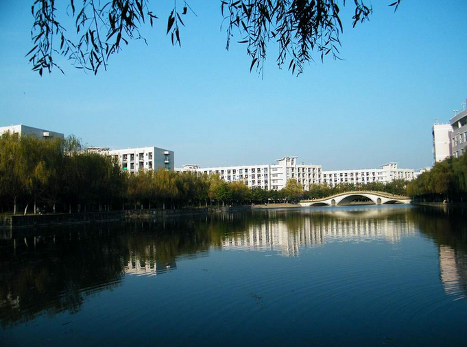 封口机小型