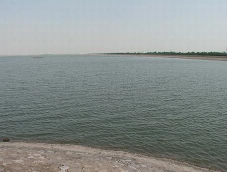 在没有水草的水库钓鲤鱼用什么饵料