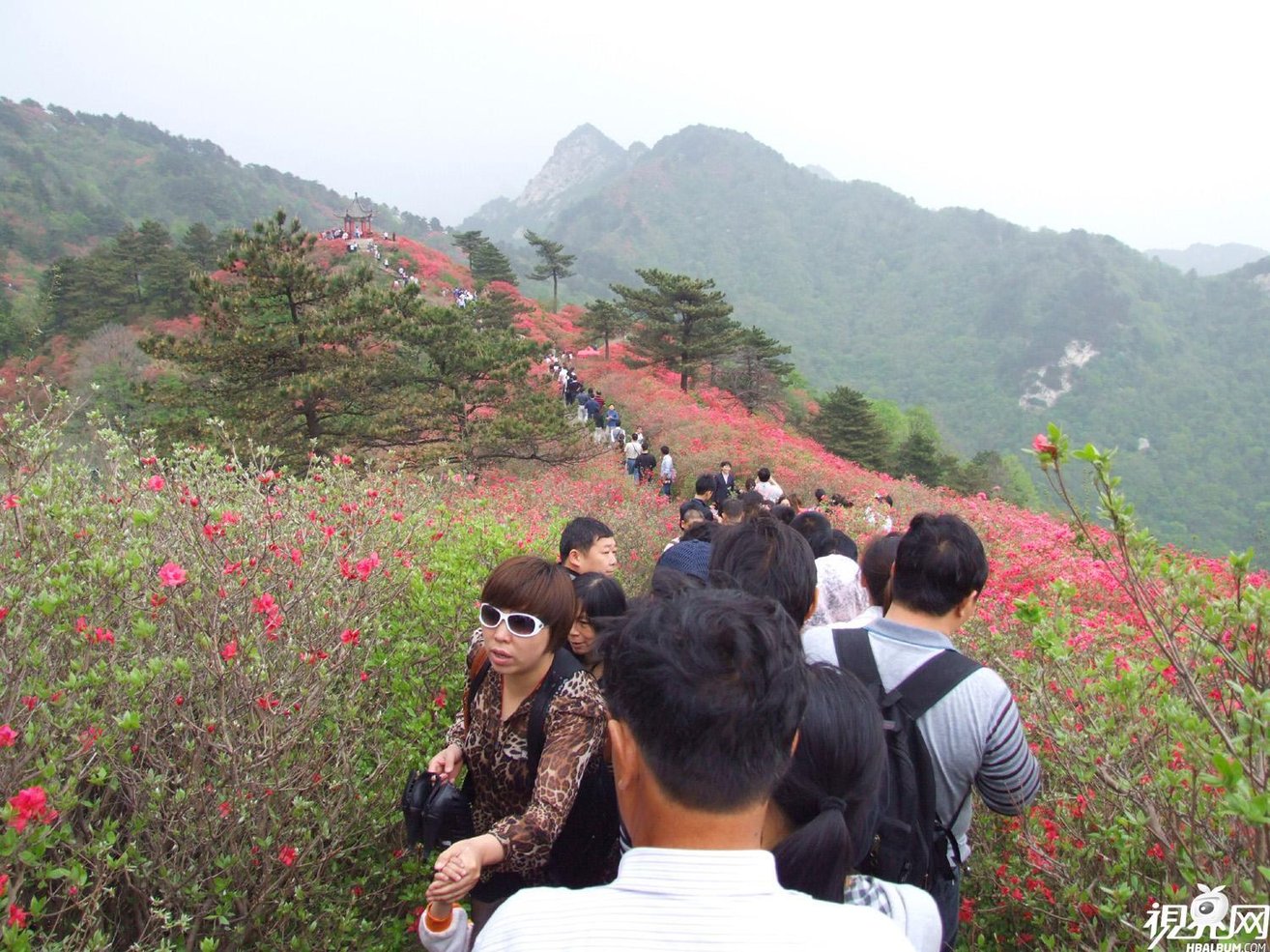 龟峰山风景区