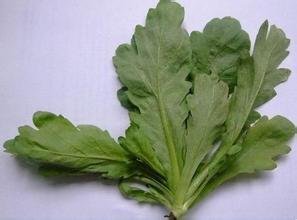 鹅菜肉汤的做法