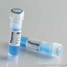 上海生物试剂市场的最新趋势